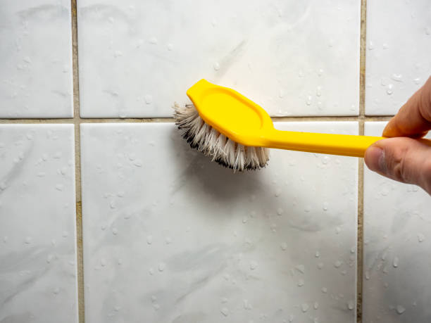 Best Local Mold Removal Service  in Kings Beach, CA