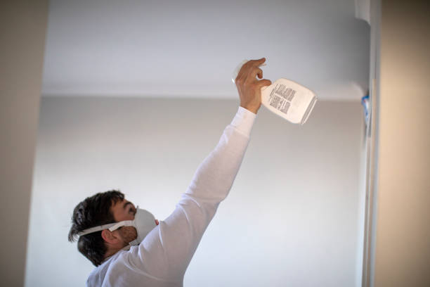 Best Fast Mold Removal  in Kings Beach, CA