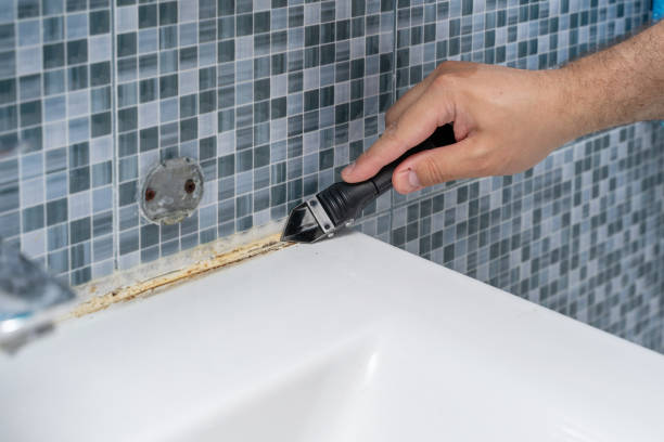 Best Certified Mold Removal  in Kings Beach, CA