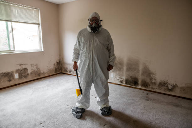 Best Office Mold Removal Services  in Kings Beach, CA